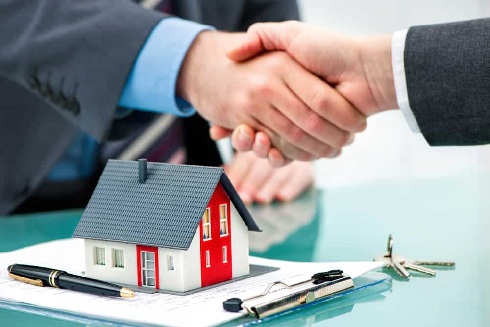 property solicitors basingstoke